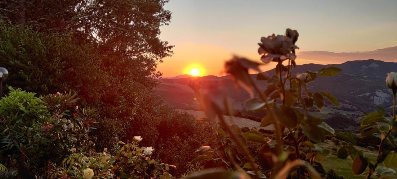 B&B La Terrazza Del Subasio Assisi Exteriér fotografie