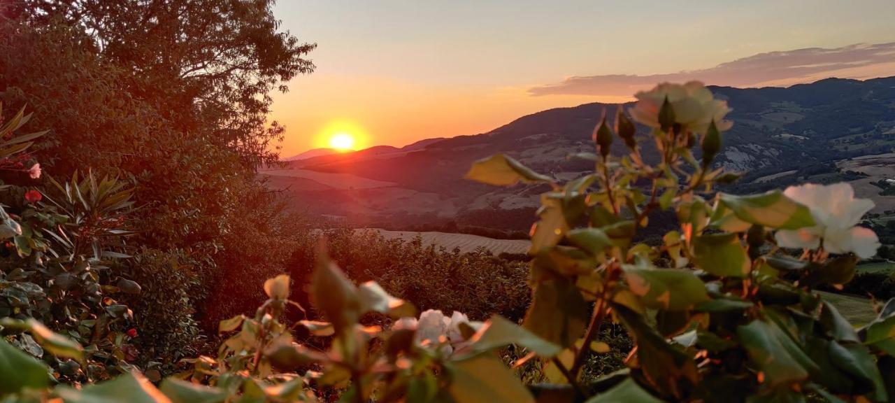B&B La Terrazza Del Subasio Assisi Exteriér fotografie
