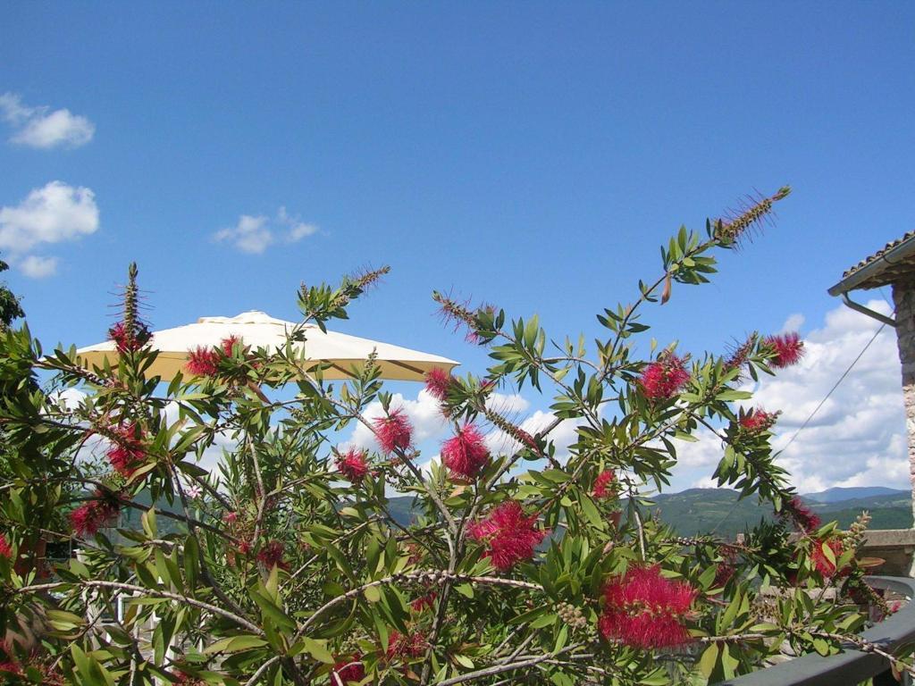 B&B La Terrazza Del Subasio Assisi Pokoj fotografie