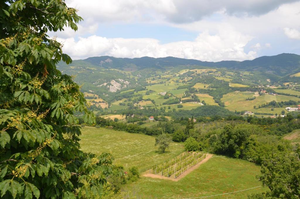 B&B La Terrazza Del Subasio Assisi Exteriér fotografie