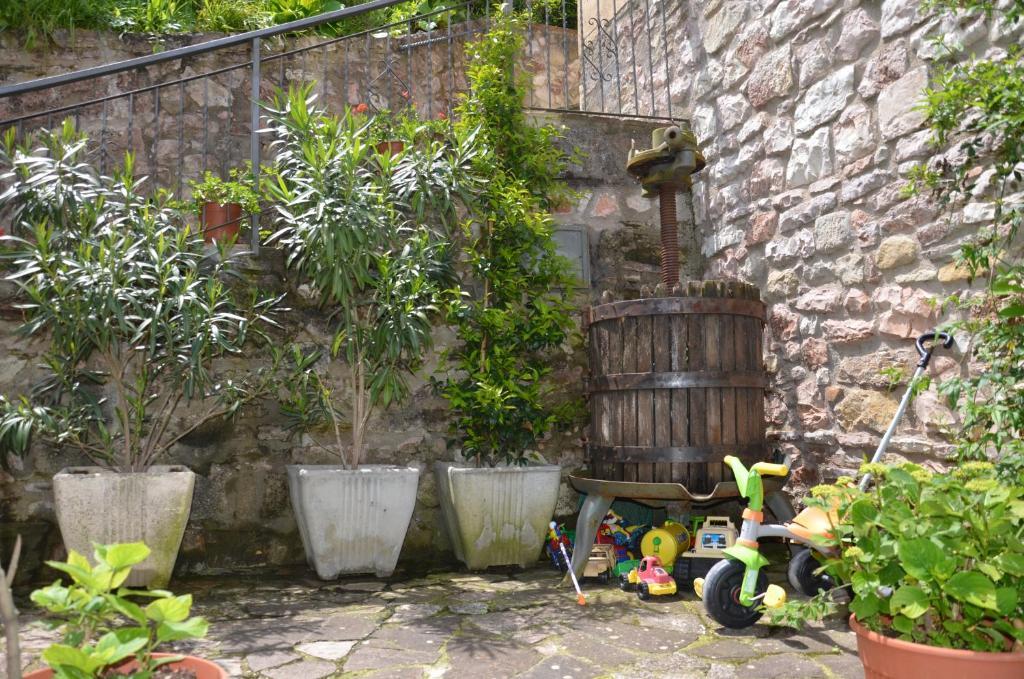 B&B La Terrazza Del Subasio Assisi Exteriér fotografie