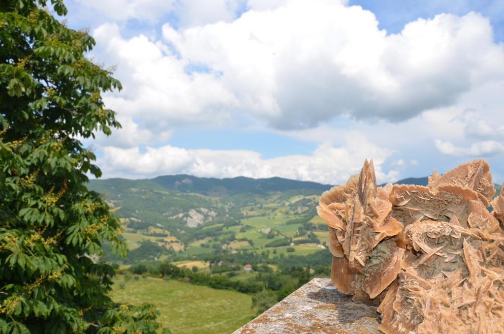 B&B La Terrazza Del Subasio Assisi Exteriér fotografie